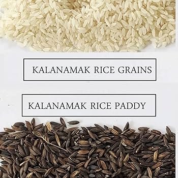 Kalanamak Rice: The Ancient Buddha Rice with Extraordinary Health Benefits
