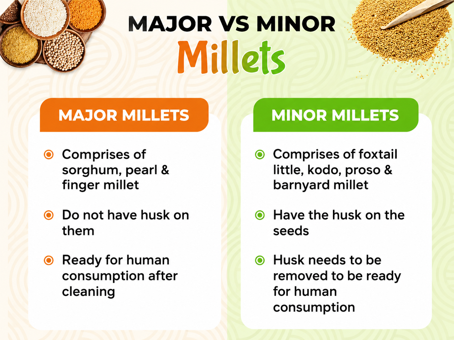Complete Guide to Millets: Types, Benefits, and Why Every Indian Kitchen Needs Them